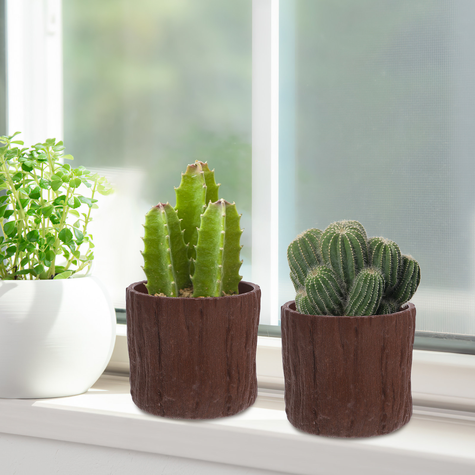 Succulent Arrangement Mini - 4 Buah Pot Bunga Motif Kayu
