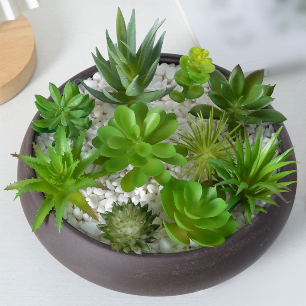 Succulent Arrangement Mini - Susunan Tanaman Sukulen Buatan Mini Bonsai
