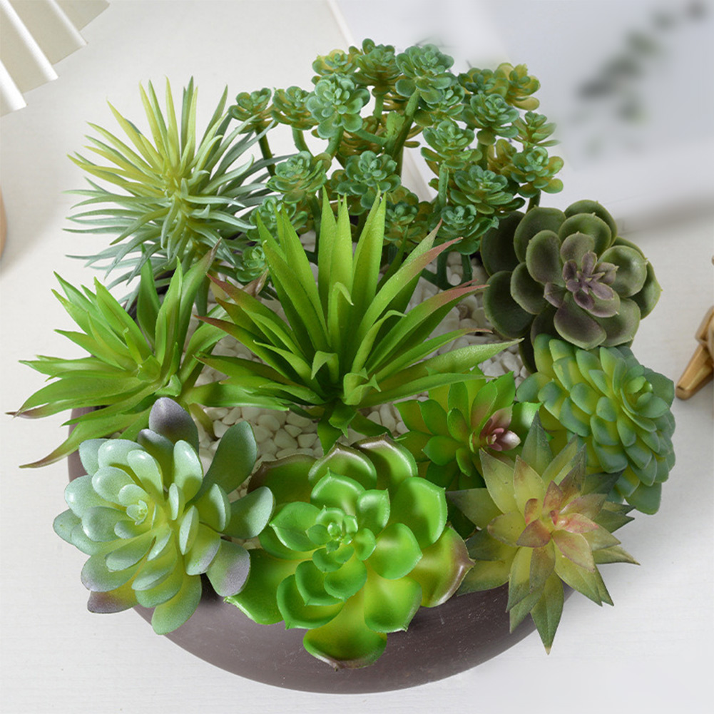 Tanaman Hias Buatan untuk Deko - Succulent Arrangement Mini ulasan dan harga