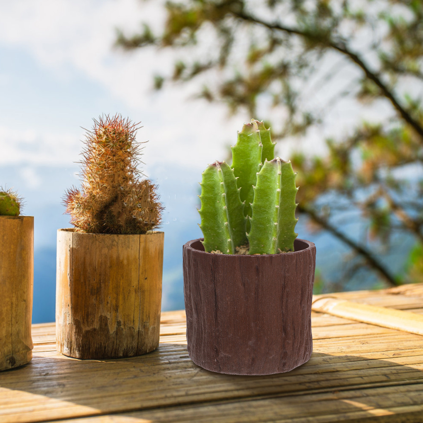 4 Buah Pot Bunga Motif Kayu Im - Succulent Arrangement Mini ulasan dan harga