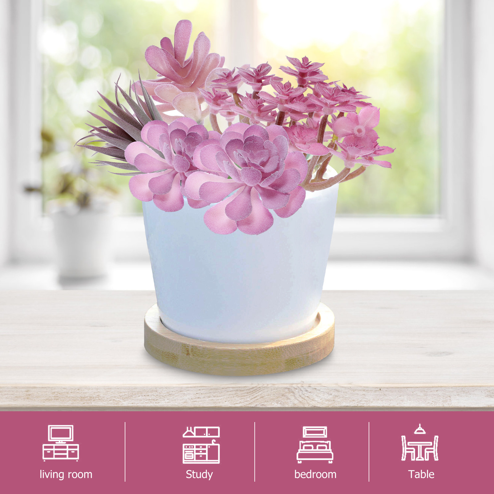 9 Buah Tanaman Buatan Dalam Ru - Succulent Arrangement Mini ulasan dan harga