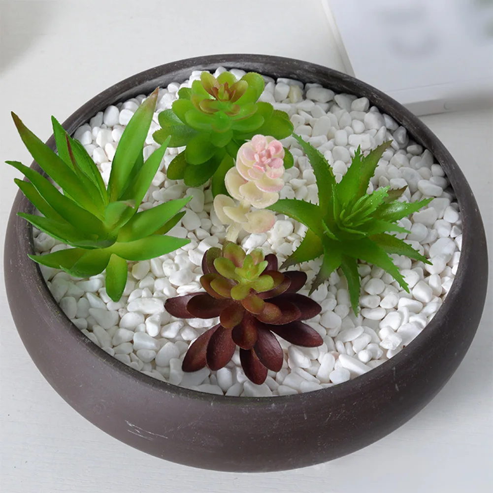 Perawatan Rendah untuk Rangkai - Succulent Arrangement Mini ulasan dan harga