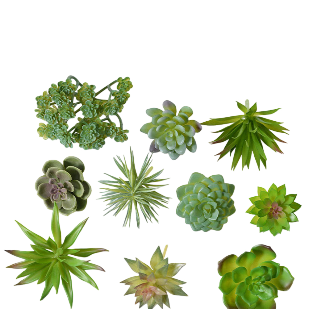 Susunan Tanaman Sukulen Buatan - Succulent Arrangement Mini ulasan dan harga